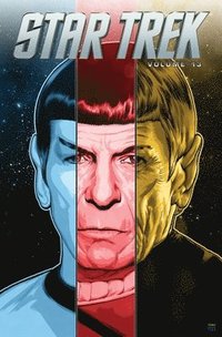 bokomslag Star Trek Volume 13