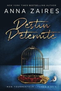 bokomslag Destin d'eternite