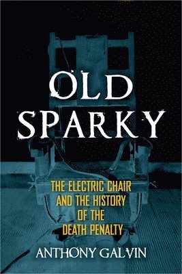 bokomslag Old Sparky