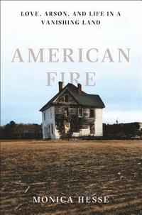 bokomslag American Fire