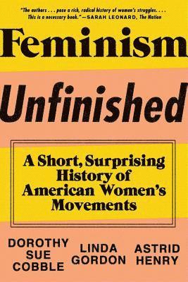 bokomslag Feminism Unfinished