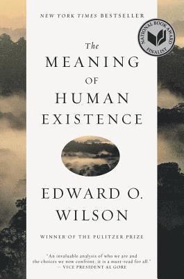 The Meaning of Human Existence 1