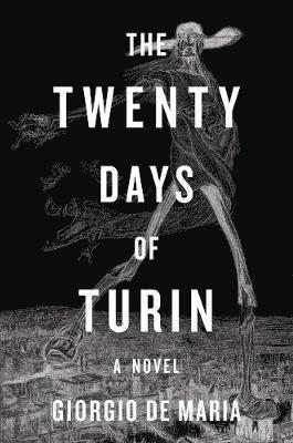 bokomslag The Twenty Days of Turin