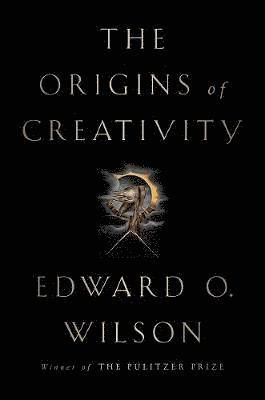 bokomslag ORIGINS OF CREATIVITY