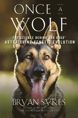Bryan Sykes - Sykes, B: Once a Wolf, Inbunden