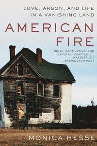 bokomslag American Fire