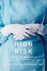 bokomslag High Risk - Stories of Pregnancy, Birth, and the Unexpected