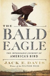bokomslag The Bald Eagle