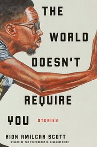 bokomslag The World Doesn't Require You: Stories