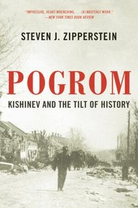 bokomslag Pogrom