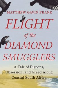 bokomslag Flight Of The Diamond Smugglers - A Tale Of Pigeons, Obsession, And Greed Along Coastal South Africa