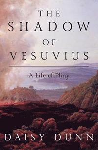 bokomslag The Shadow of Vesuvius