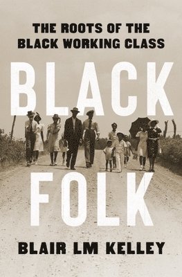 bokomslag Black Folk: The Roots of the Black Working Class