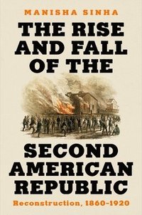 bokomslag The Rise and Fall of the Second American Republic