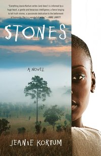 bokomslag Stones