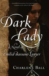 bokomslag Dark Lady