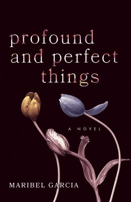 Maribel Garcia - Profound and Perfect Things, Häftad