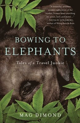 Bowing to Elephants 1