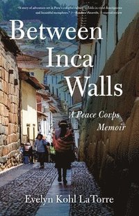 bokomslag Between Inca Walls