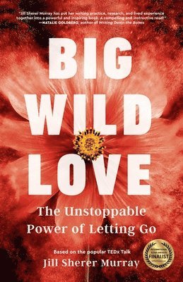 bokomslag Big Wild Love