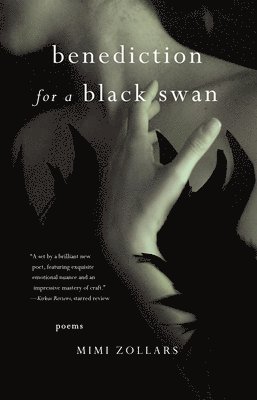 benediction for a black swan 1