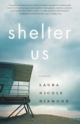 bokomslag Shelter Us