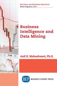 bokomslag Business Intelligence and Data Mining