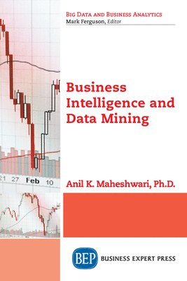 bokomslag Business Intelligence and Data Mining