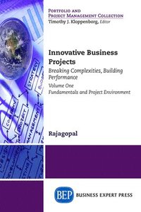 bokomslag Innovative Business Projects