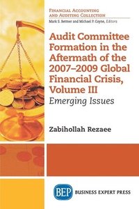 bokomslag Audit Committee Formation in the Aftermath of the 2007-2009 Global Financial Crisis, Volume III