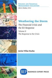 bokomslag Weathering the Storm
