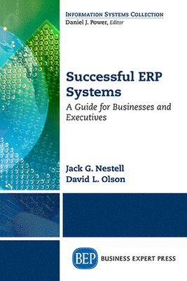 Successful ERP Systems 1