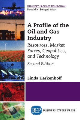 bokomslag A Profile of the Oil and Gas Industry