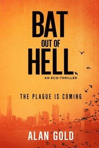 bokomslag Bat out of Hell