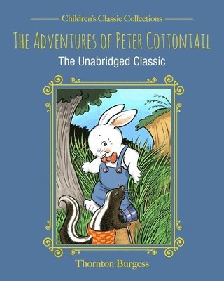 bokomslag Adventures of Peter Cottontail