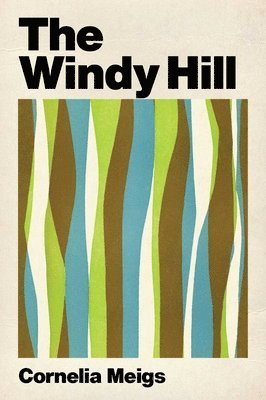 bokomslag Windy Hill