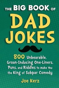 bokomslag The Big Book of Dad Jokes: 800 Unbearable, Groan-Inducing One-Liners, Puns, and Riddles to Make You the King of Subpar Comedy
