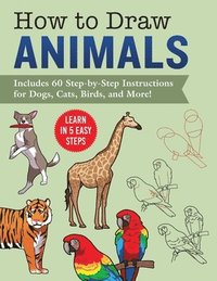 bokomslag How to Draw Animals