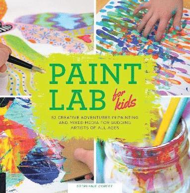 bokomslag Paint Lab for Kids