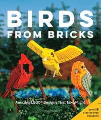 bokomslag Birds from Bricks