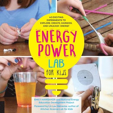 bokomslag Energy Lab for Kids: Volume 11