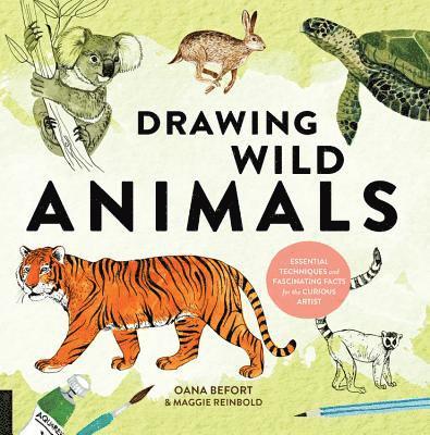 Drawing Wild Animals 1