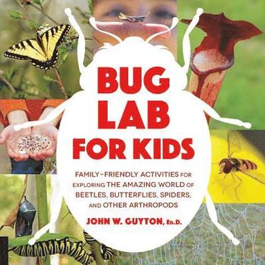 bokomslag Bug Lab for Kids: Family-Friendly Activities for Exploring the Amazing World of Beetles, Butterflies, Spiders, and Other Arthropods