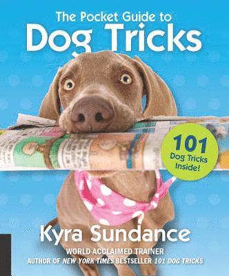 Kyra Sundance - Pocket Guide to Dog Tricks, Häftad