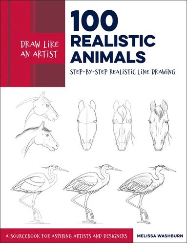 Melissa Washburn - Draw Like an Artist: 100 Realistic Animals, Häftad