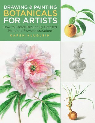 Karen Kluglein - Drawing and Painting Botanicals for Artists, Häftad