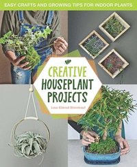 bokomslag Creative Houseplant Projects