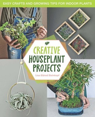 Creative Houseplant Projects 1
