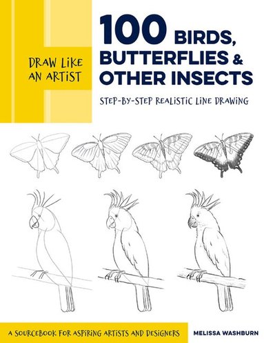 Melissa Washburn - Draw Like an Artist: 100 Birds, Butterflies, and Other Insects, Häftad