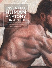 bokomslag Essential Human Anatomy for Artists: Volume 9
